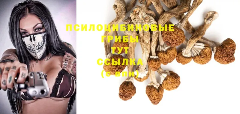 Псилоцибиновые грибы Psilocybine cubensis  что такое   Туймазы 